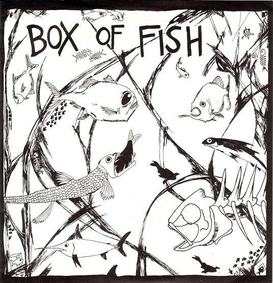 Box Of Fish – Erosion (2020) Vinyl Album 7″