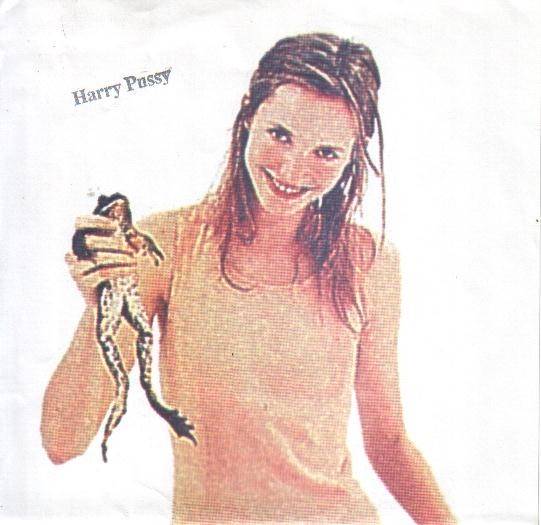 Harry Pussy – Untitled (2020) Vinyl 7″ EP