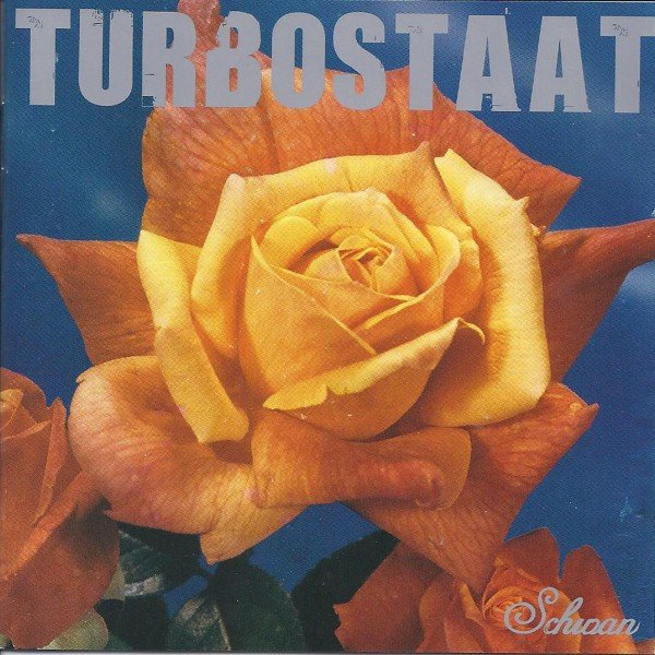 Turbostaat – Schwan (2020) Vinyl Album LP Repress