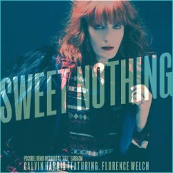 Free Download Sweet Nothing (feat. Florence Welch) (Extended Mix) (Calvin Harris) Mp3 Song