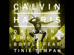 Free Download Drinking From The Bottle (feat. Tinie Tempah) (Calvin Harris) Mp3 Song