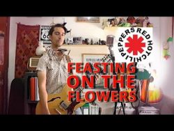 Free Download Feasting On The Flowers (Red Hot Chili Peppers) Mp3 Song