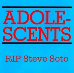 Steve Soto Of The Adolescents Has Died in June 27, 2018