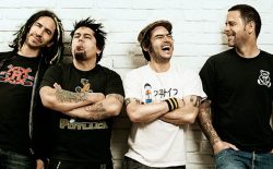 NOFX all shows canceled in USA