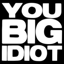 You Big Idiot (Canada skate punk) covers Natalie Imbruglia song Torn