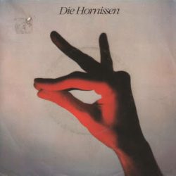 DIE HORNISSEN – Pale Blue Eyes 7” 1982