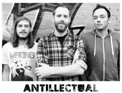 Antillectual (Dutch melodic punk) release video to "Change the Standard" song