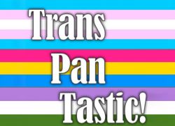 Pansexuality and Transdads